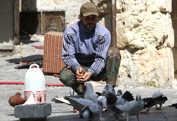 باڵنده‌كان له‌ حه‌له‌ب راده‌كه‌ن